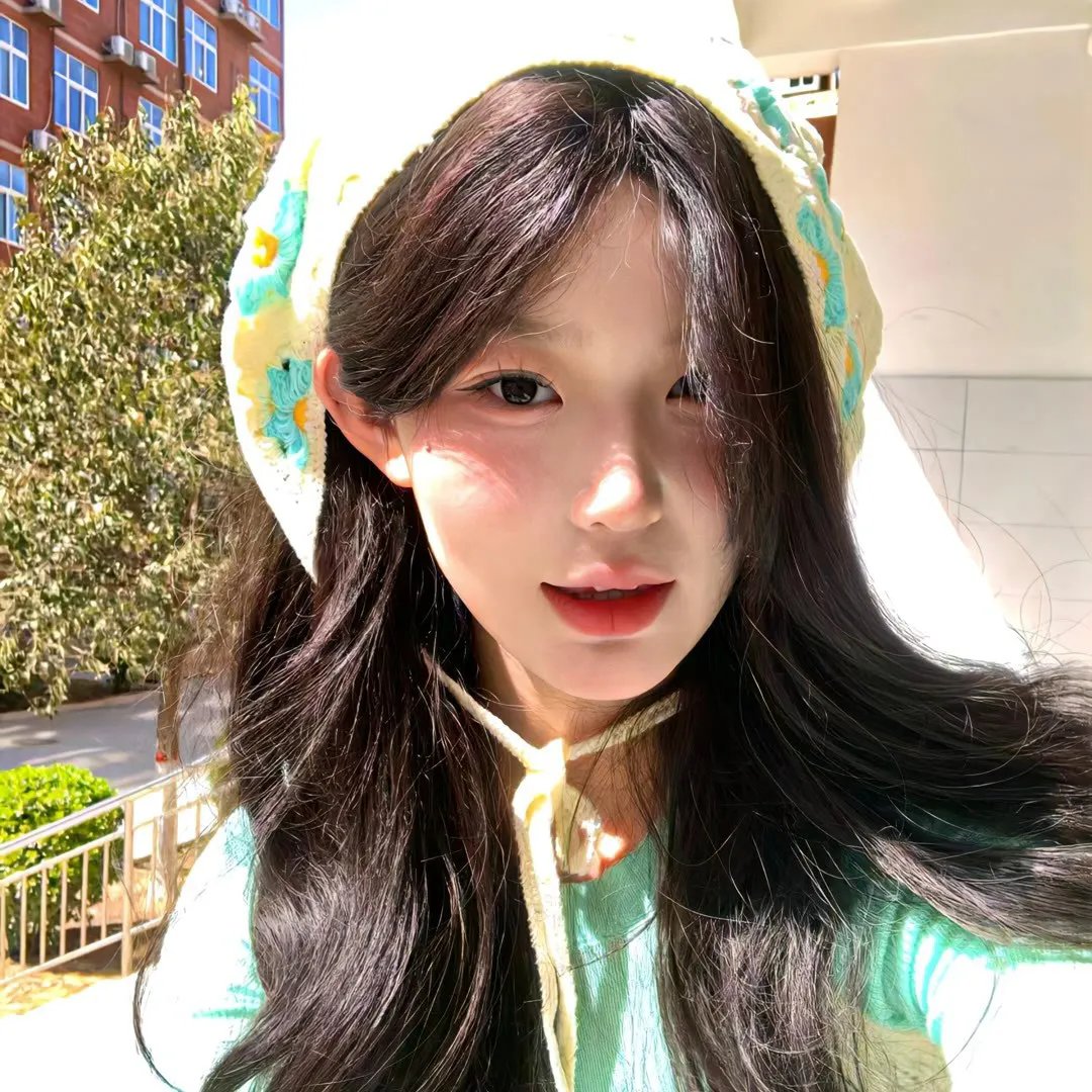 猫头鹰与小飞象
